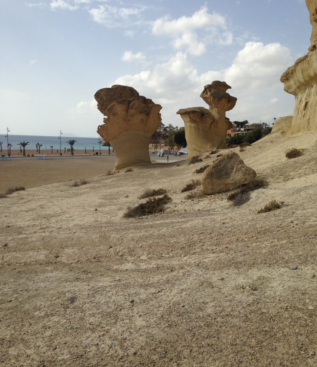 Bolnuevo5